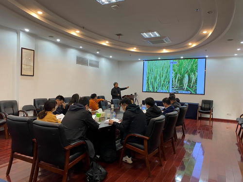 上海市科技兴农技术创新项目“优质高效两系节水抗旱稻新品种的培育与应用”通过验收